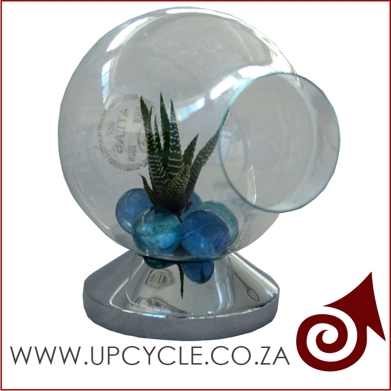 Light bulb succulent pot